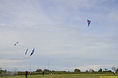 Venice kite festival_0548